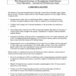 Cairo Declaration (February 2002)