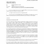 Projet de conclusions du Conseil sur la Cour pénale internationale