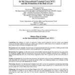 Ottawa Plan of Action on the International Criminal Court (Nov. 2002)