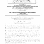 Plan d’action d’Ottawa à l’égard de la Cour pénale internationale (CPI) (Nov. 2002)