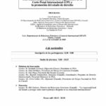 Programa: Una Asamblea parlamentaria de seguimiento de la Corte Penal Internacional (CPI) y la promoción del estado de derecho