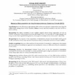 Brasilia Declaration On The International Criminal Court (ICC) (Mar. 2004)