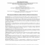Declaração De Brasília Sobre O Tribunal Penal Internacional (Mar. 2004)