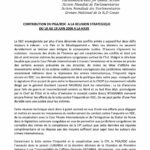 Contribution Du PGA/RDC A La Reunion Strategique Du 18 Au 19 Juin 2009 A La Haye