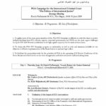 Agenda: Strategy Meeting - The Politics of International Justice (June 2009)