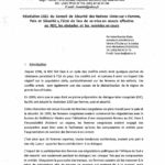Mme. Irène Esambo Diata, Lawyer and President of the "Centre d'Etude sur la Justice et la Résolution 1325"