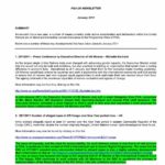 PGA UN Newsletter (Jan. 2011)