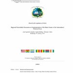 Regional Roundtable Discussion on Implementation of the Rome Statute of the International Criminal Court (Feb. 2011)