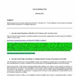 PGA UN Newsletter (Feb. 2011)