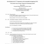 Agenda: Side Meeting to the 19th Commission on the Sustainable Development (CSD) (May 2011)