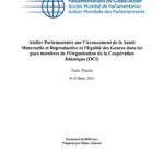 Atelier Parlementaire sur l’Avancement de la Santé Maternelle et Reproductive et l'Egalité des Genres dans les pays membres de l'Organisation de la Coopération Islamique (OCI)