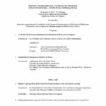 Programa: Décimo Aniversario de la Entrada en Vigor del Estatuto de Roma - Corte Penal Internacional
