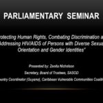 Presentation by Zenita Nicholson: Protecting Human Rights, Combatting Discrimination and Addressing HIV/AIDS of Persons with Diverse Sexual Orientation and Gender Identities