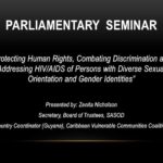 Presentation by Zenita Nicholson: Protecting Human Rights, Combatting Discrimination and Addressing HIV/AIDS of Persons with Diverse Sexual Orientation and Gender Identities